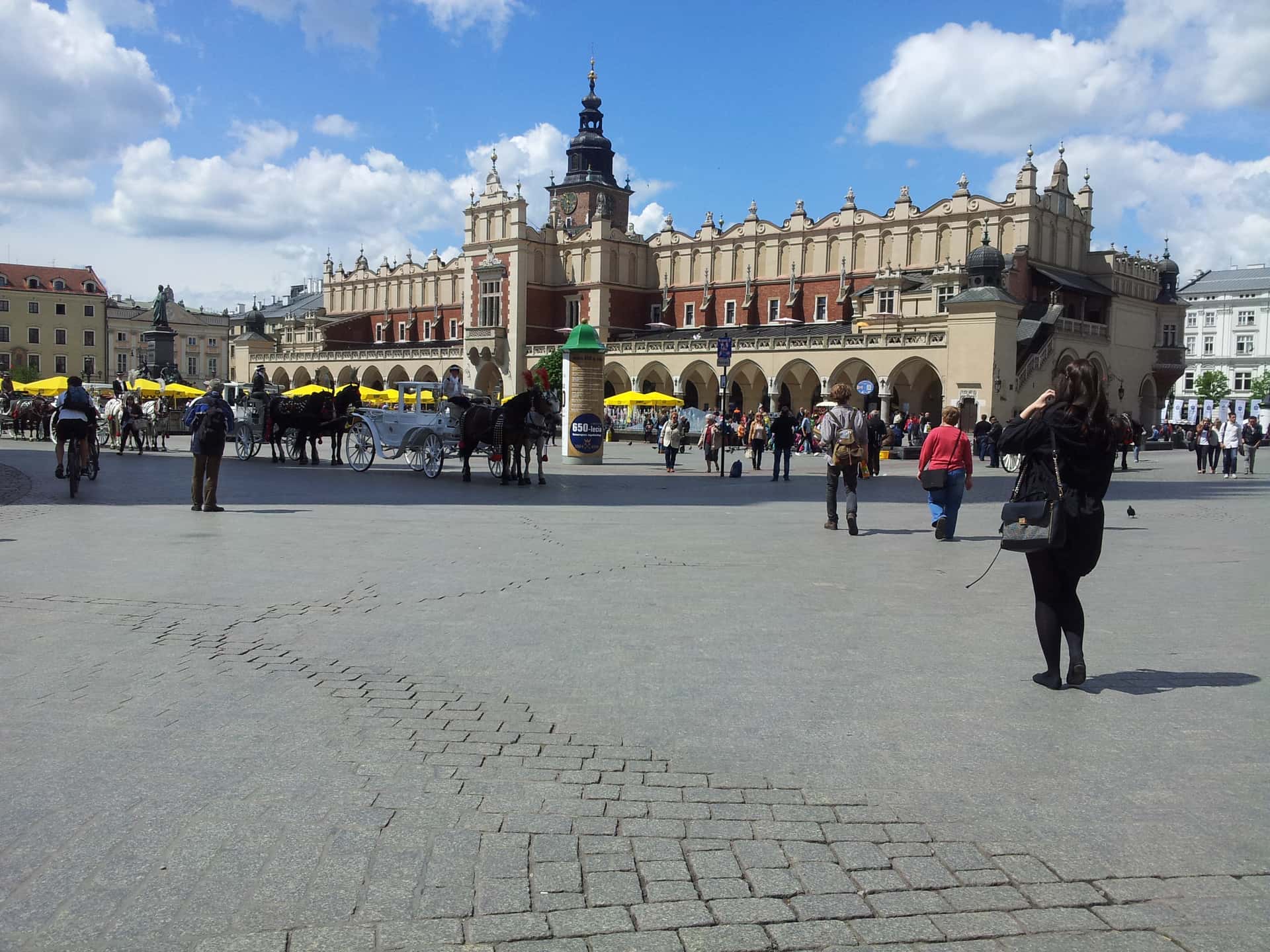 Vehicle Rides — before