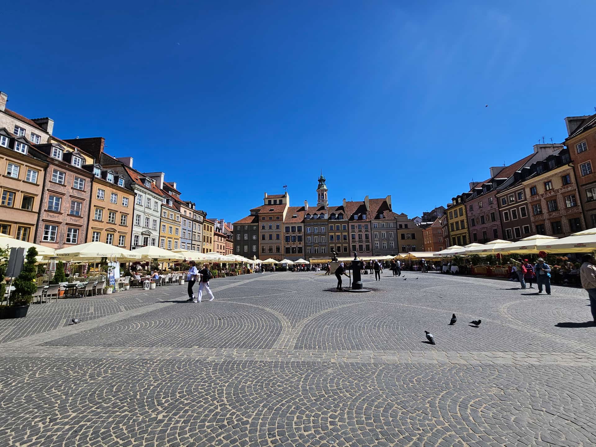 E-Bike Cruise — before